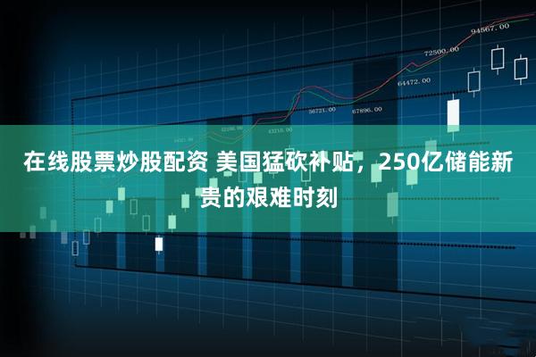 在线股票炒股配资 美国猛砍补贴，250亿储能新贵的艰难时刻